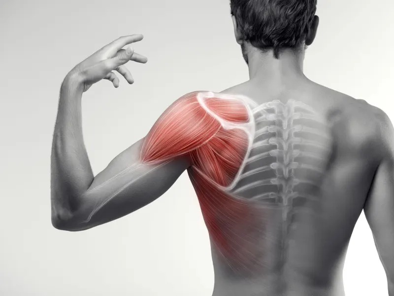 Shoulder Pain Treatment Near Me in Pace and Milton, FL. Chiropractor For Shoulder Pain Relief.